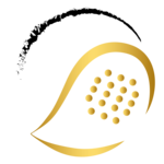 PADELZONE Afterwork Turnier 🎾 Expert