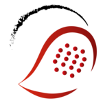 Linzer Padelbase Indoor Serie 25/26 - Professional