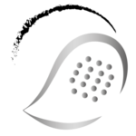 ZIPFER Wintercup - Advanced